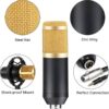 Mic with Full Arm Kit - Image 4