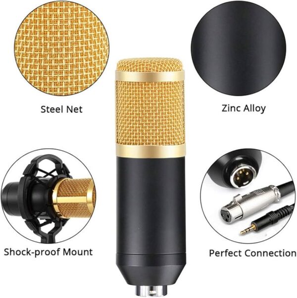 Mic with Full Arm Kit - Image 4