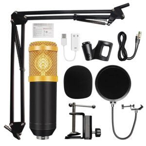 Mic with Full Arm Kit