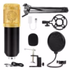 Mic with Full Arm Kit - Image 3