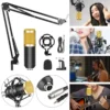 Mic with Full Arm Kit - Image 2