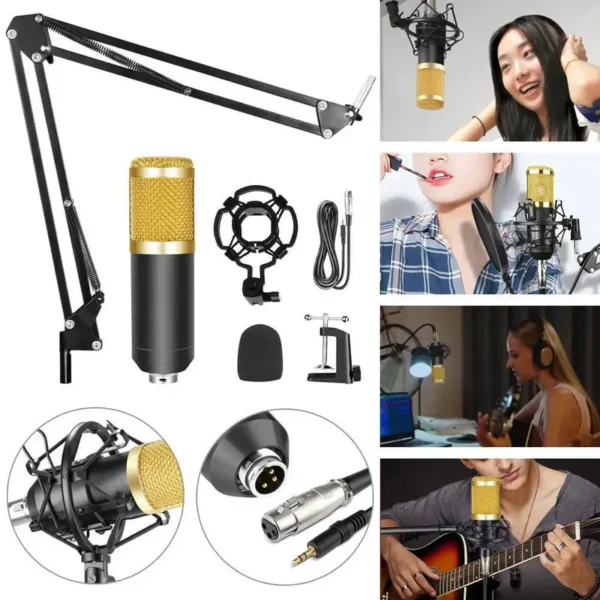 Mic with Full Arm Kit - Image 2